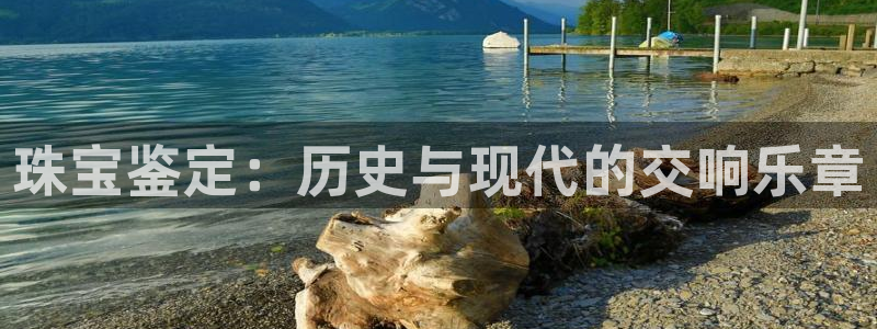 新航娱乐公司问题:珠宝鉴定:历史与现代的交响乐章