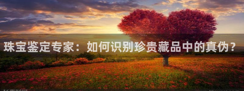 新航娱乐招商Q:珠宝鉴定专家:如何识别珍贵藏品中的真伪?