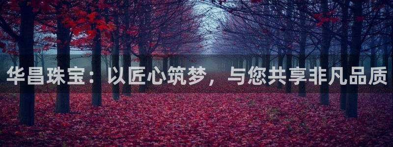 新航机上娱乐:华昌珠宝:以匠心筑梦,与您共享非凡品质