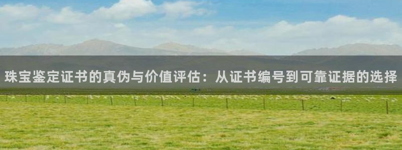 新航娱乐直开怎么下载:珠宝鉴定证书的真伪与价值评估:从证书编