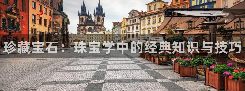 新航海娱乐会所电话是多少:珍藏宝石:珠宝学中的经典知识与技巧