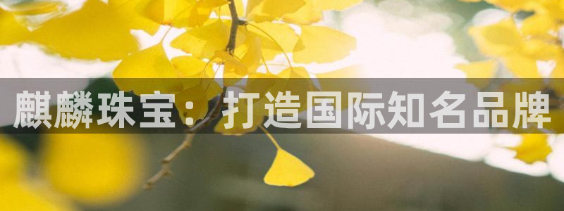 新航娱乐有限公司地址:麒麟珠宝:打造国际知名品牌