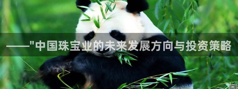 新航娱乐系统设置:——\