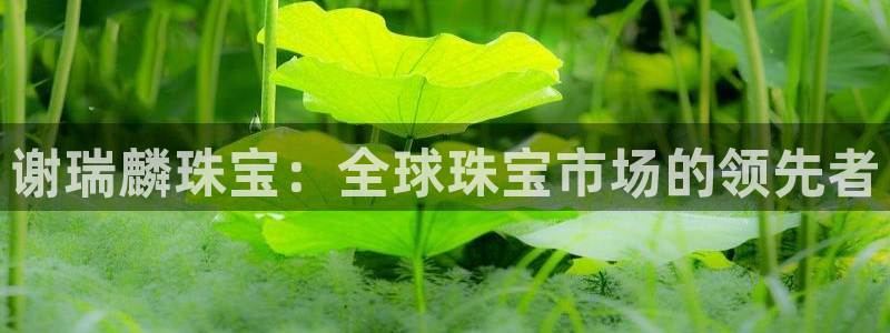 新航sq806娱乐系统:谢瑞麟珠宝:全球珠宝市场的领先者