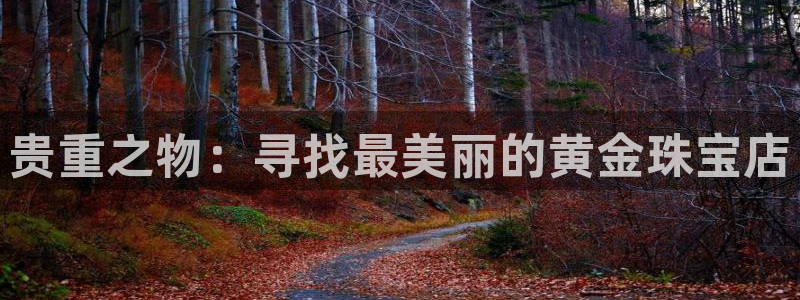 新航娱乐官网注册入口:贵重之物:寻找最美丽的黄金珠宝店