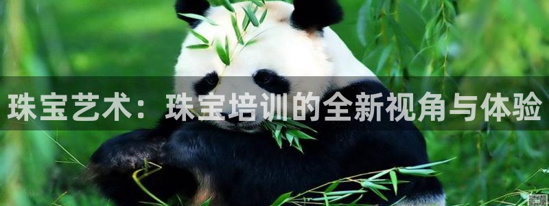 新航面试娱乐:珠宝艺术:珠宝培训的全新视角与体验