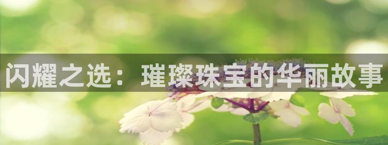 新航娱乐公司问题解决:闪耀之选:璀璨珠宝的华丽故事