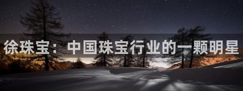 新航 娱乐系统:徐珠宝:中国珠宝行业的一颗明星