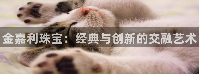 新航娱乐怎么样知乎:金嘉利珠宝:经典与创新的交融艺术
