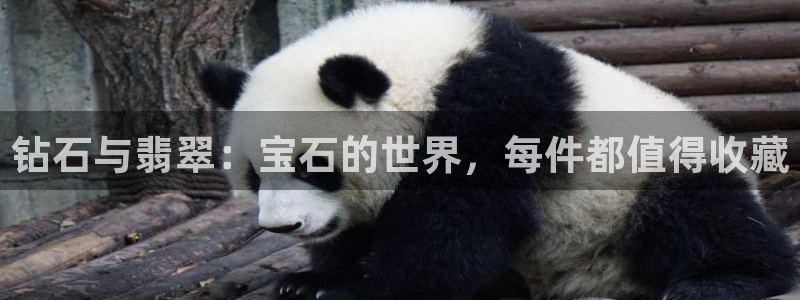 新航娱乐的创始人背景:钻石与翡翠:宝石的世界,每件都值得收藏