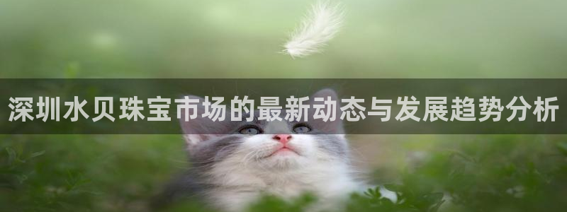 云顶新航国际娱乐城:深圳水贝珠宝市场的最新动态与发展趋势分析