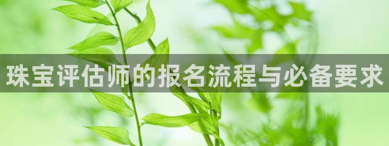 新航娱乐艺人:珠宝评估师的报名流程与必备要求