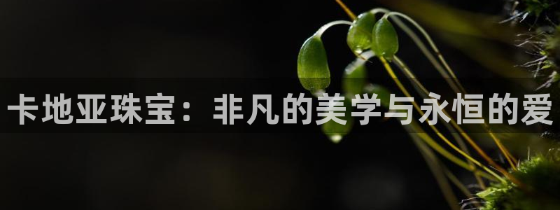 新航娱乐主管:卡地亚珠宝:非凡的美学与永恒的爱