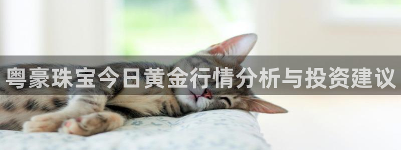 新航线辉煌娱乐会所:粤豪珠宝今日黄金行情分析与投资建议